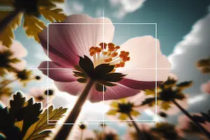 Mastering the Art of Balance: How is the Rule of Thirds Used in Design?